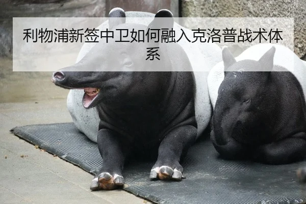 利物浦新签中卫如何融入克洛普战术体系